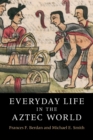 Image for Everyday Life in the Aztec World
