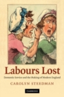 Image for Labours Lost