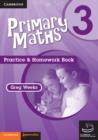 Image for Primary Maths Practice and Homework Book 3