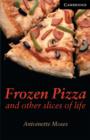 Image for Frozen Pizza and Other Slices of Life Level 6