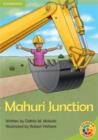 Image for Rainbow Reading Level 3 - Work: Mahuri Junction Box D