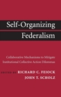Image for Self-Organizing Federalism