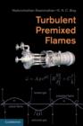 Image for Turbulent Premixed Flames