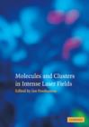 Image for Molecules and Clusters in Intense Laser Fields