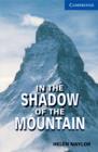 Image for In the shadow of the mountains