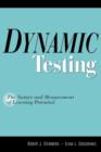 Image for Dynamic testing  : the nature and measurement of learning potential