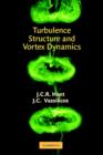 Image for Turbulence structure and vortex dynamics