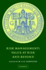 Image for Risk management beyond value at risk