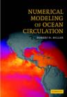 Image for Numerical Modeling of Ocean Circulation