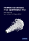 Image for Direct numerical simulations of gas-liquid multiphase flows