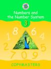 Image for Numbers and the number system3: Copymasters