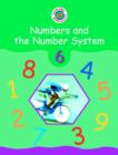 Image for Cambridge Mathematics Direct 6 Numbers and the Number System Teacher&#39;s book