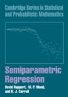 Image for Semiparametric Regression