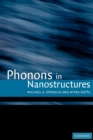 Image for Phonons in nanostructures