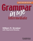 Image for Grammar in Use Intermediate Workbook without Answers