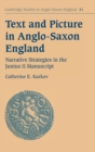 Image for Text and Picture in Anglo-Saxon England