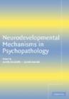 Image for Neurodevelopmental Mechanisms in Psychopathology