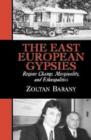 Image for The East European Gypsies