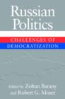 Image for Russian politics  : challenges of democratization