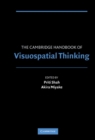 Image for The Cambridge Handbook of Visuospatial Thinking