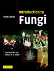 Image for Introduction to Fungi