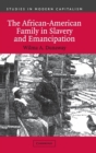 Image for The African-American Family in Slavery and Emancipation
