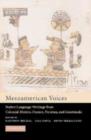 Image for Mesoamerican Voices
