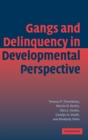 Image for Gangs and Delinquency in Developmental Perspective