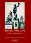Image for Benvenuto Cellini  : sculptor, goldsmith, writer