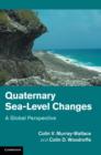 Image for Quaternary sea-level changes  : a global perspective