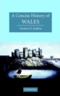 Image for A Concise History of Wales