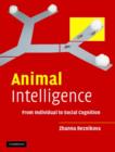 Image for Animal intelligence  : from individual to social cognition