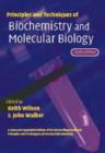 Image for Principles and techniques of practical biochemistry and molecular biology