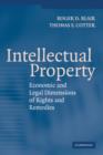 Image for Intellectual property  : economic and legal dimensions of rights and remedies