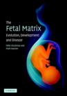 Image for The Fetal Matrix: Evolution, Development and Disease