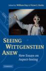 Image for Seeing Wittgenstein anew  : new essays on aspect-seeing