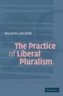 Image for The practice of liberal pluralism