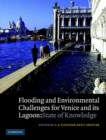 Image for Flooding and environmental challenges for Venice and its lagoon