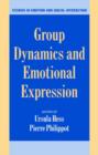 Image for Group Dynamics and Emotional Expression