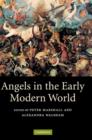 Image for Angels in the Early Modern World