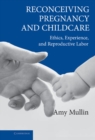 Image for Reconceiving Pregnancy and Childcare