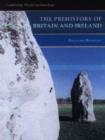 Image for The prehistory of Britain and Ireland : The Prehistory of Britain and Ireland