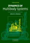 Image for Dynamics of Multibody Systems