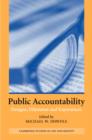 Image for Public accountability  : designs, dilemmas and experiences