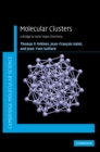 Image for Molecular clusters  : a bridge to solid-state chemistry