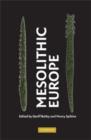Image for Mesolithic Europe