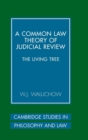 Image for A Common Law Theory of Judicial Review