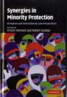 Image for Synergies in minority protection  : European and international law perspectives
