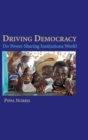 Image for Driving democracy  : do power-sharing institutions work?