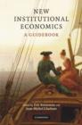 Image for New institutional economics  : a guidebook